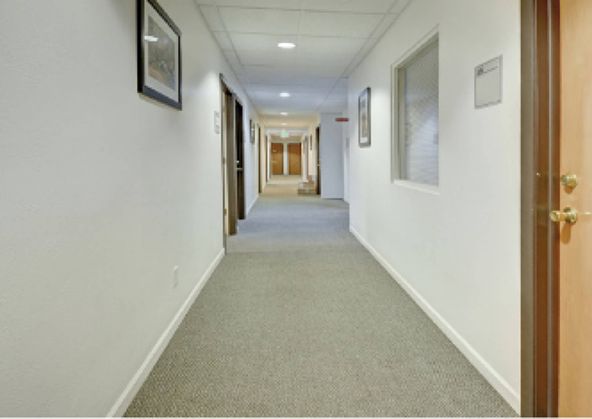 Suite 207